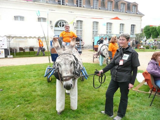 rodho 2013 (100).jpg